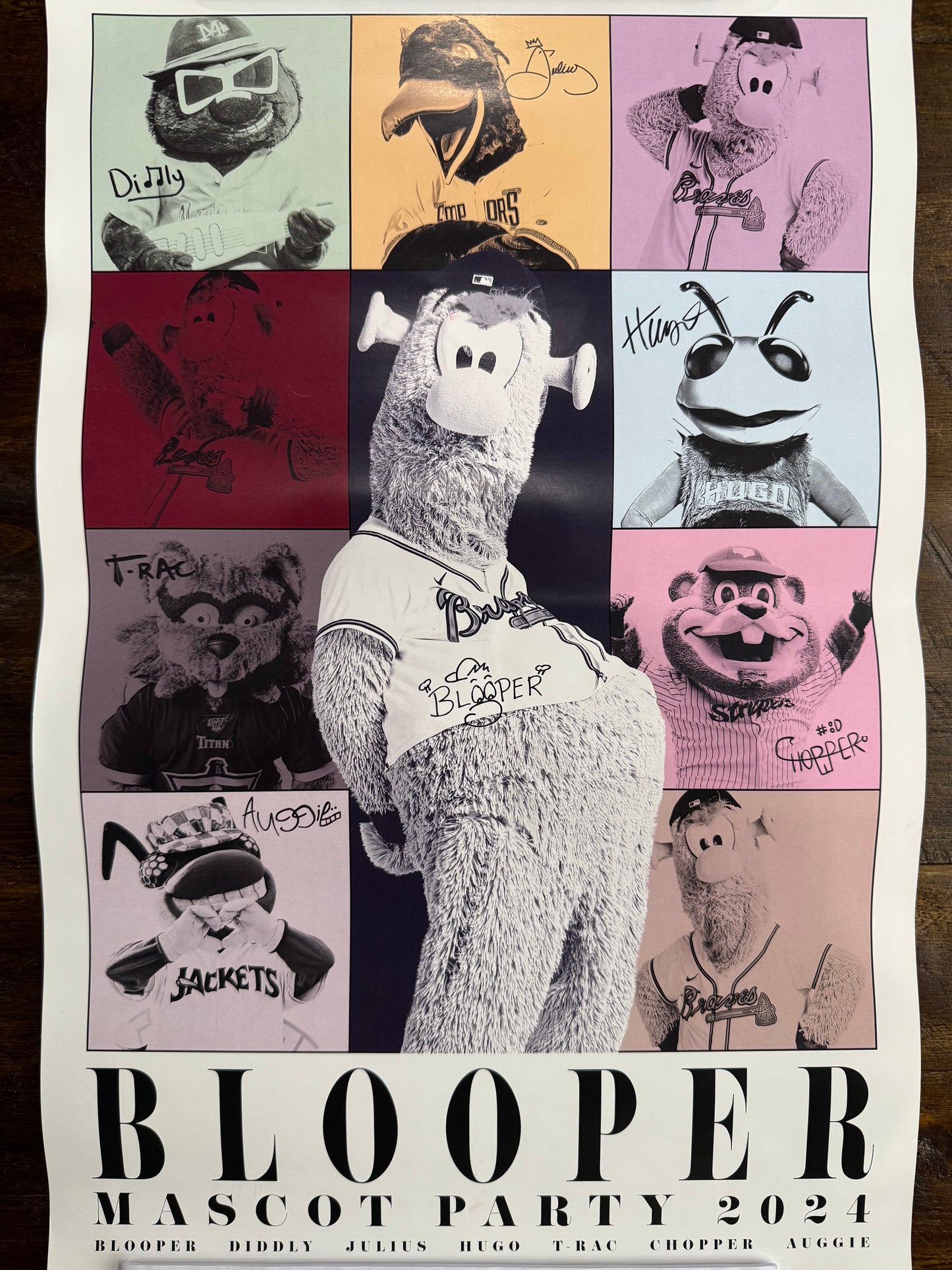 2024 Blooper Party Poster (11”x17”)